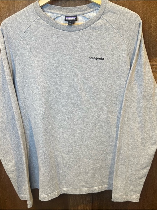 Patagonia Other - Patagonia Gray Crewneck Sweatshirt with Mountain Logo